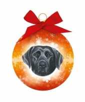 Plastic huisdier kerstballen hond 10116246